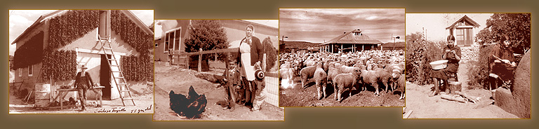 Historic family photos of the Casa Chimayo forefathers. here we see them hanging chiles to dry in the sun, herding sheep and making posole outdoors by the horno oven.